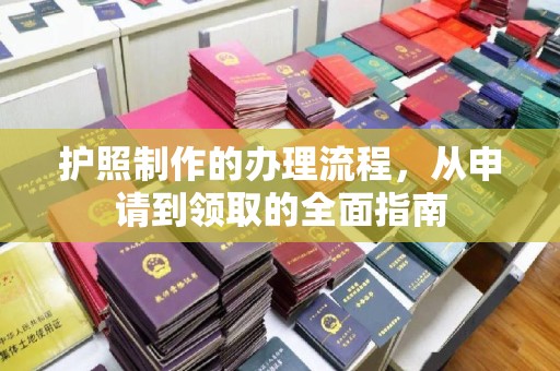 乐亭护照制作的办理流程，从申请到领取的全面指南
