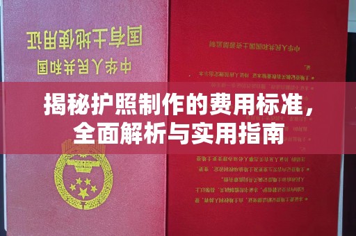 乐亭揭秘护照制作的费用标准，全面解析与实用指南