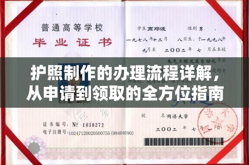 乐亭护照制作的办理流程详解，从申请到领取的全方位指南