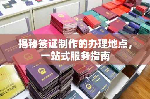 乐亭揭秘签证制作的办理地点，一站式服务指南